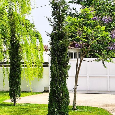 Seaside Jacaranda Apartman Szhiniász Kültér fotó