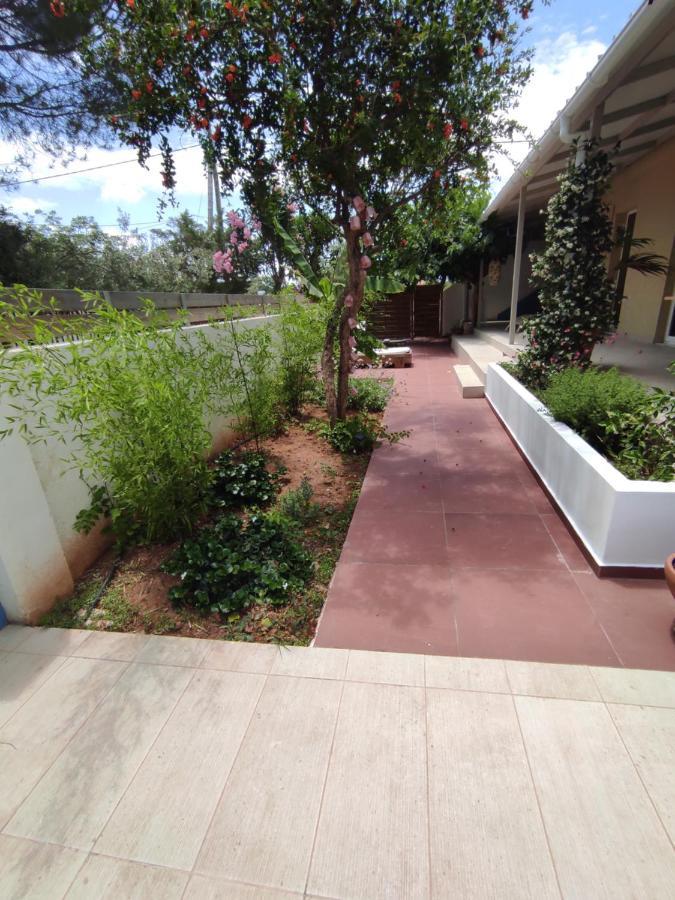 Seaside Jacaranda Apartman Szhiniász Kültér fotó