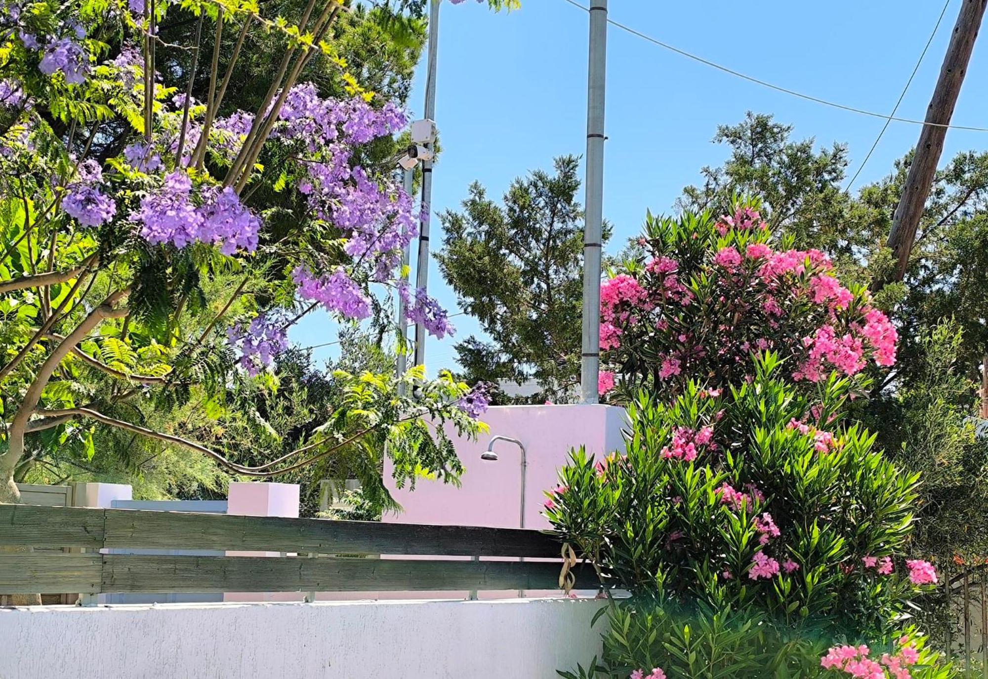 Seaside Jacaranda Apartman Szhiniász Kültér fotó