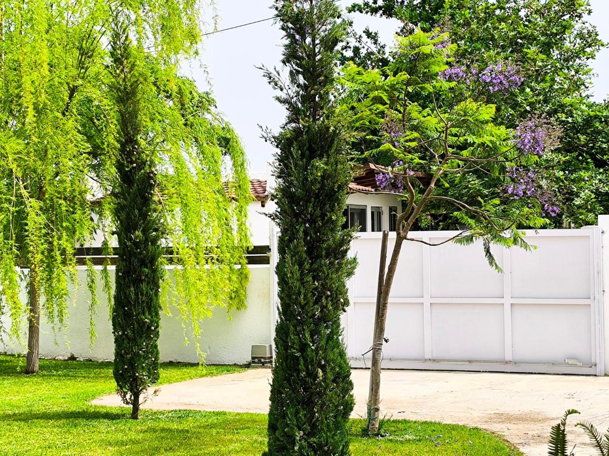 Seaside Jacaranda Apartman Szhiniász Kültér fotó